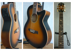 Ibanez AEG40II (35468)