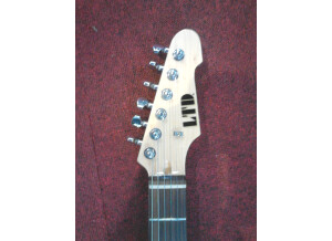 LTD ST-213 Rosewood - Seafoam Green (62414)