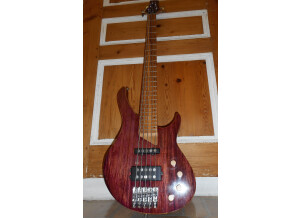 Jack & Danny 2200A Fretless