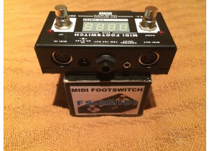 Amt Electronics FS-2 Midi Footswitch (85665)