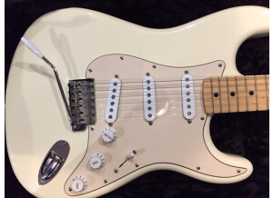 Fender Robin Trower Signature Stratocaster (95231)