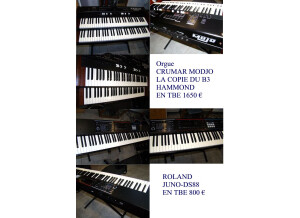 Crumar Mojo (74176)
