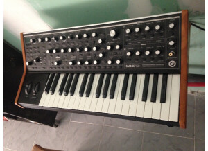 Moog Music SUB 37 (14748)