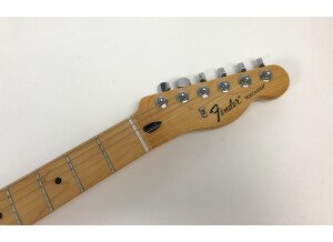 Fender FSR 2012 Standard Telecaster Black Paisley (14287)