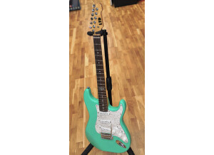 LTD ST-213 Rosewood - Seafoam Green (56669)