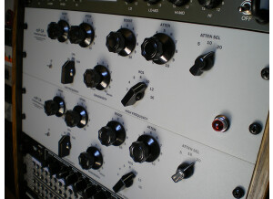 Aml ezP-1A Clone (76114)
