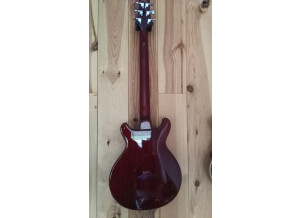 LTD ST-213 Rosewood - Seafoam Green (45553)