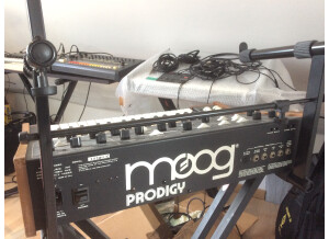 Moog Music Prodigy (50019)