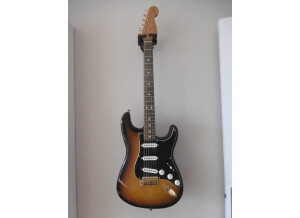 Fender Stevie Ray Vaughan Stratocaster (55100)
