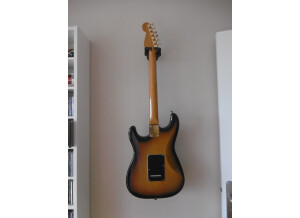 Fender Stevie Ray Vaughan Stratocaster (33102)