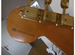 Fender Stevie Ray Vaughan Stratocaster (77410)