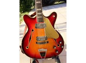 Fender Coronado II [1966-1972] (32096)