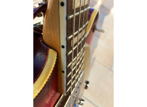 Fender Coronado II [1966-1972] (91985)