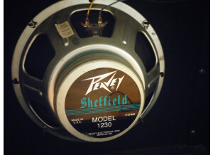 Peavey Bandit 112 (Discontinued) (44552)