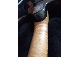 Music Man Luke (Vintage Tremolo) (40369)