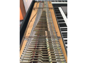 Fender Rhodes Mark I Stage Piano (21837)