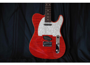 Tom Anderson HOLLOW T CLASSIC (16305)