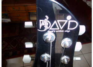 David Custom Shop Glenn Model