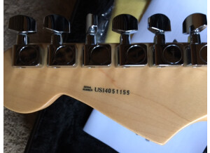 Fender American Standard Stratocaster [2012-Current] (60135)