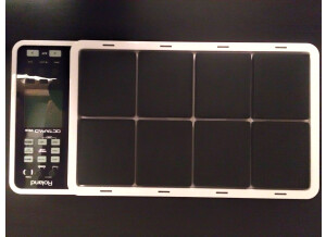 Roland SPD-30 (36733)