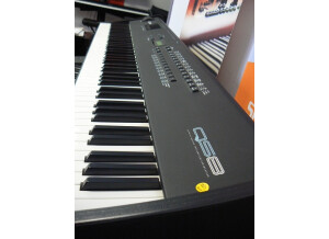 ALESIS QS8 1.JPG
