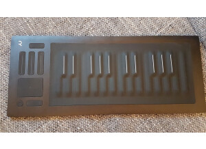 ROLI Seaboard Rise 25 (33525)