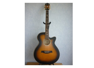 Ibanez AEG40II (97556)
