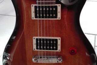 PRS SE Standard 22