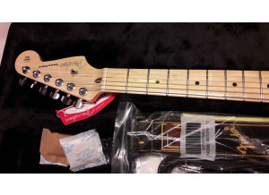 Fender G-5 VG-Stratocaster (85735)