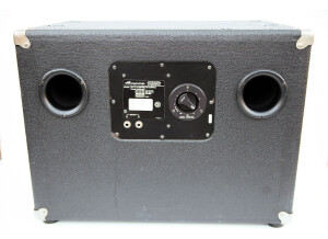 Ampeg SVT-4 Pro (43097)