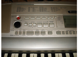 Yamaha DGX-300 (26443)