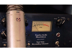 Tegeler Audio Manufaktur Vari Tube Recording Channel (54511)