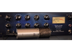 Tegeler Audio Manufaktur Vari Tube Recording Channel (7140)