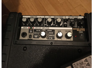 Roland M-Cube-Bass-RX (43342)