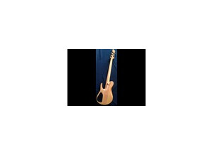 Fodera Guitars Imperial 5 c (92894)