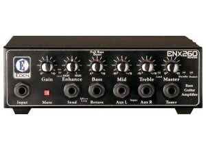 Eden Amplification ENX260