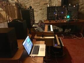 NRSynth Alligator