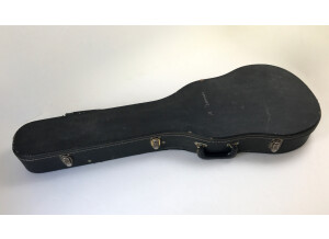 Gibson Les Paul junior DC (1244)