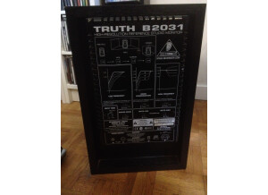 Behringer Truth B2031A (78138)