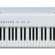 PS-20 PS-20