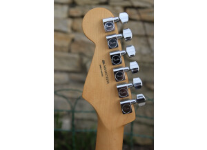 Fender Standard Stratocaster [2009-Current] (82456)
