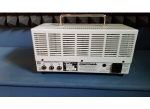 Orange Tiny Terror (20086)