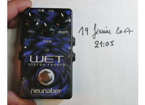 Neunaber Technology Wet Stereo Reverb (59954)