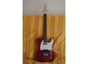 Tom Anderson HOLLOW T CLASSIC (54073)