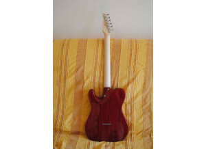 Tom Anderson HOLLOW T CLASSIC (89995)