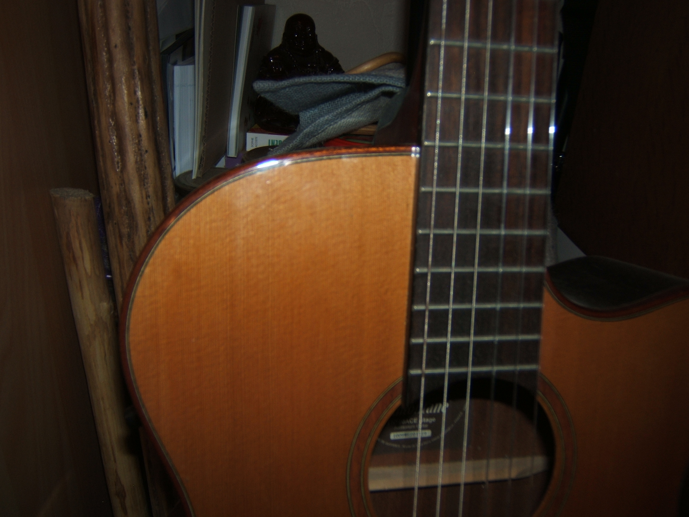 Lâg Tramontane TN100ACE