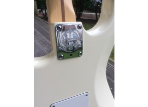 Fender American Standard Stratocaster [2012-Current] (13555)