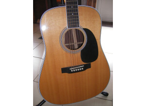 Martin & Co D-35 (85874)