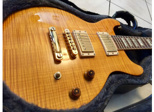 Gibson Les Paul Standard Dc Plus Amber (67113)