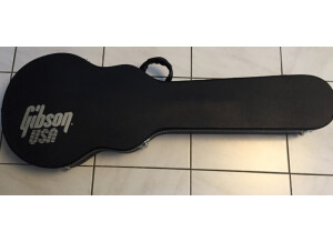 Gibson Les Paul Standard Dc Plus Amber (10891)